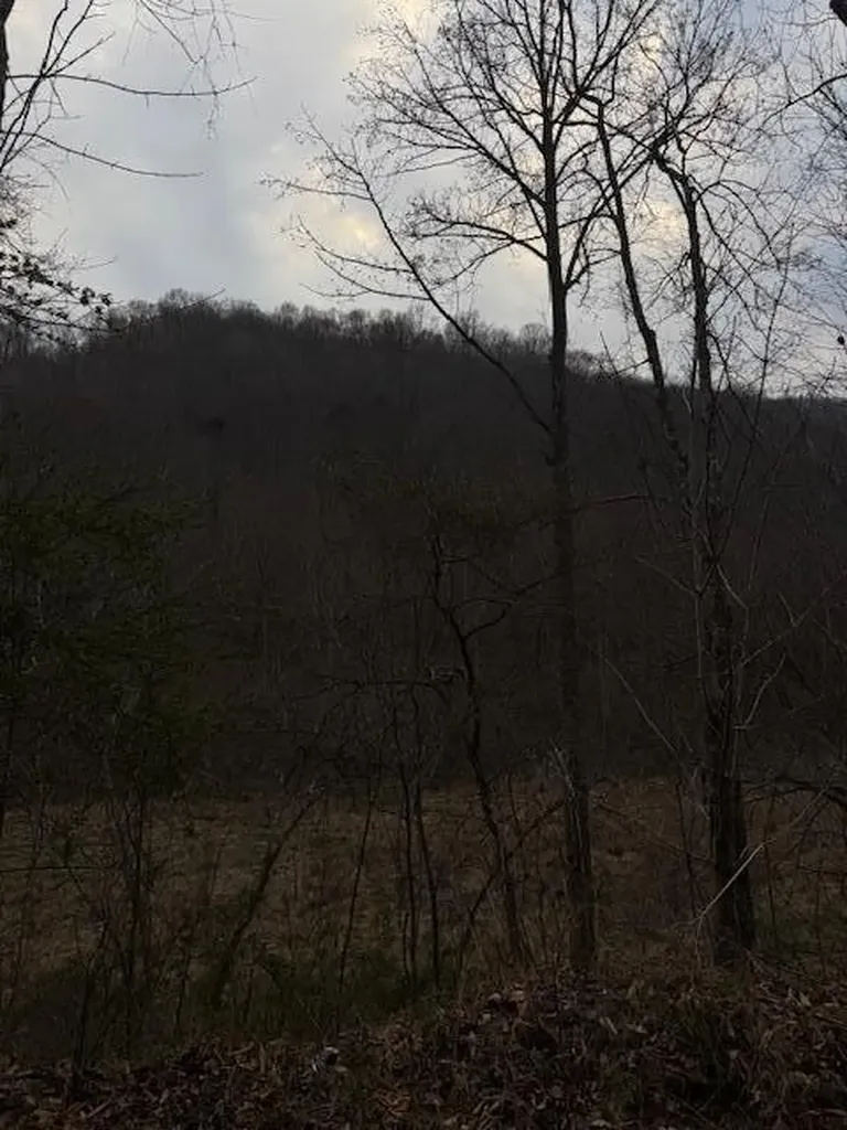 9999 Paint Gap Road Flat Lick KY 40935