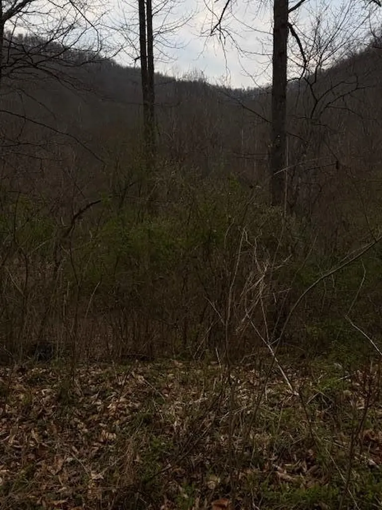 9999 Paint Gap Road Flat Lick KY 40935