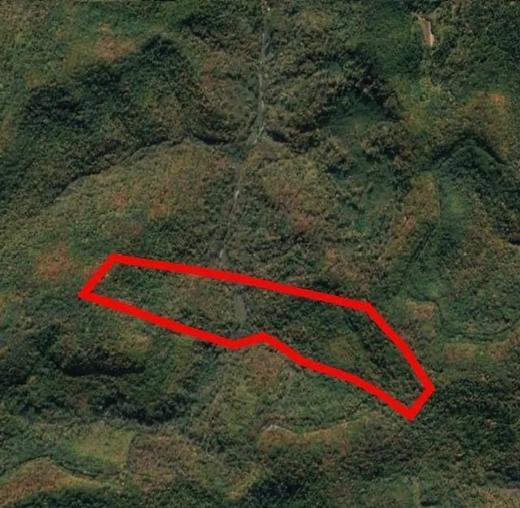 9999 Paint Gap Road Flat Lick KY 40935