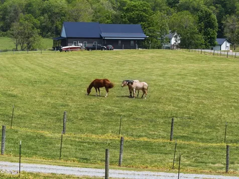 1782 Harris Creek Road Stanford KY 40484