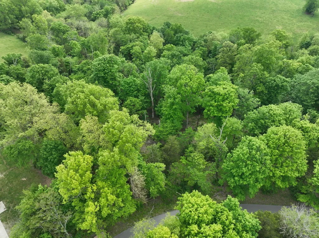 582 Overlook Drive Lancaster KY 40444