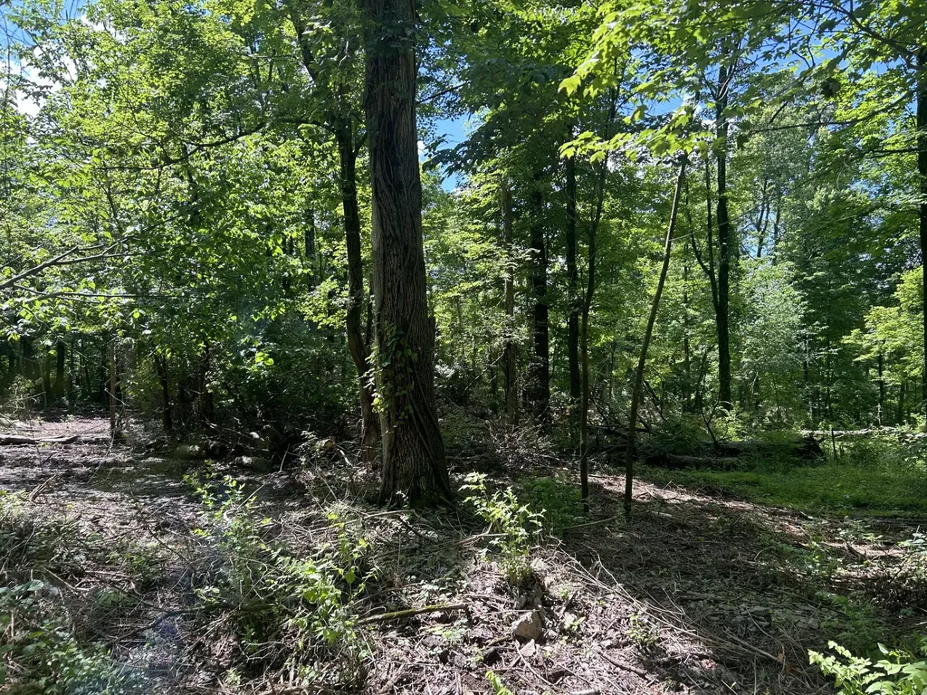 582 Overlook Drive Lancaster KY 40444