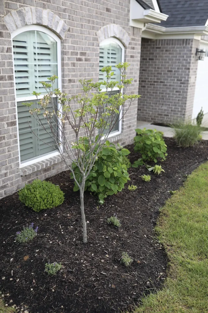 1208 Moon Rise Way Lexington KY 40509