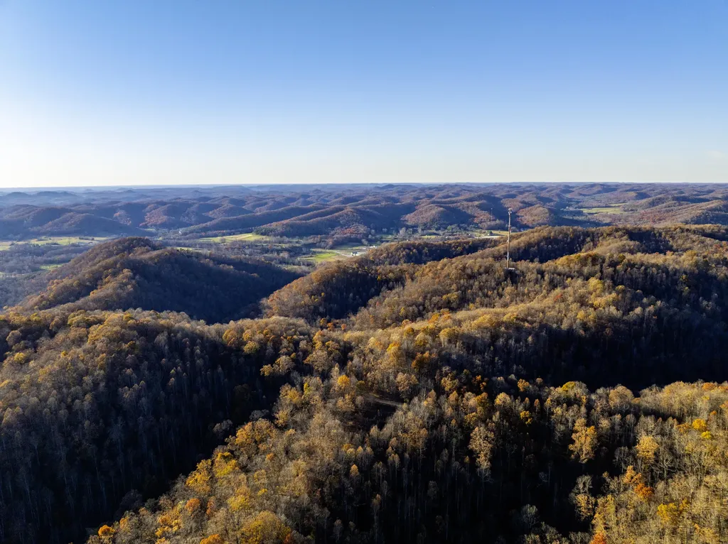 3300 Forestry Ridge Road Morehead KY 40351