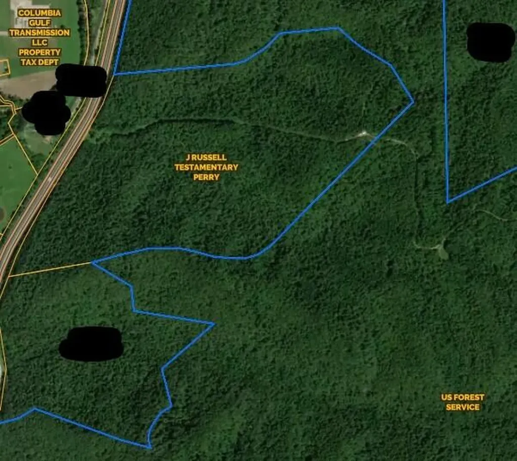 3300 Forestry Ridge Road Morehead KY 40351