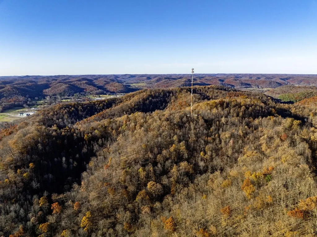 3300 Forestry Ridge Road Morehead KY 40351