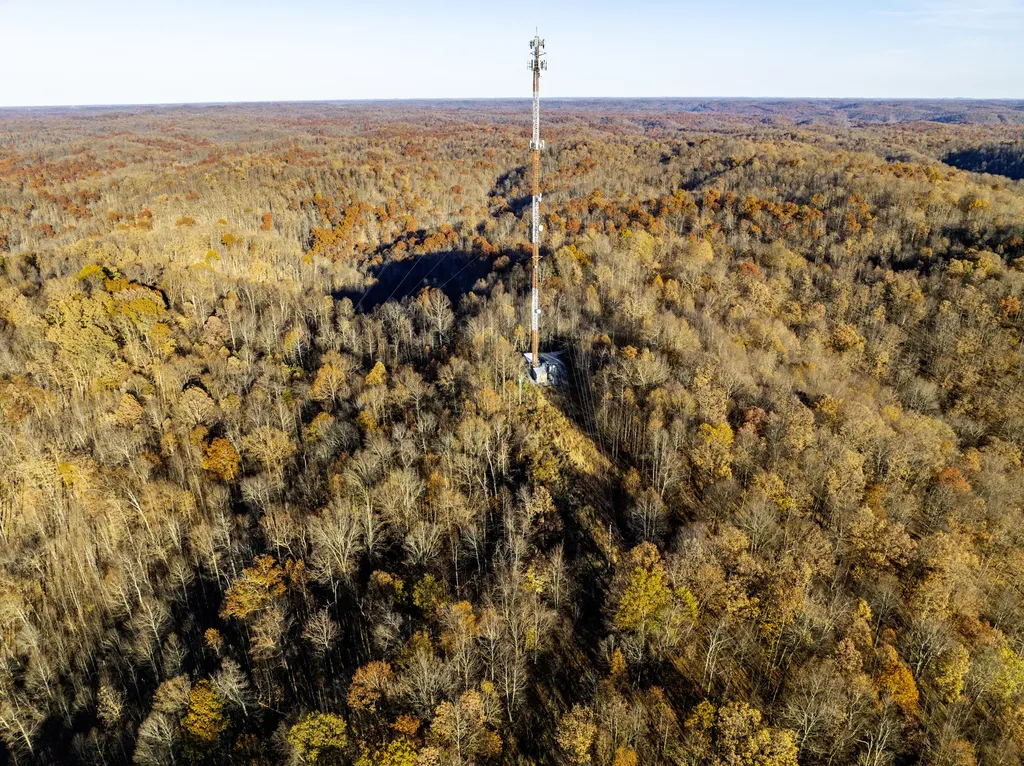 3300 Forestry Ridge Road Morehead KY 40351