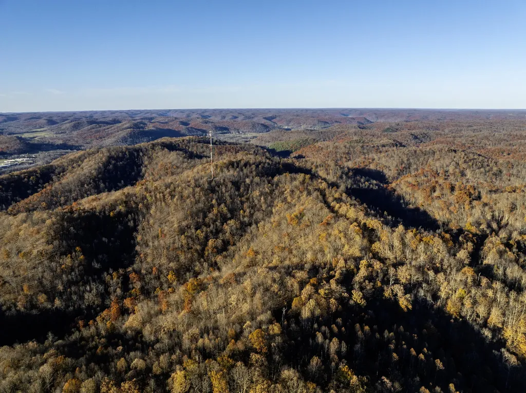 3300 Forestry Ridge Road Morehead KY 40351