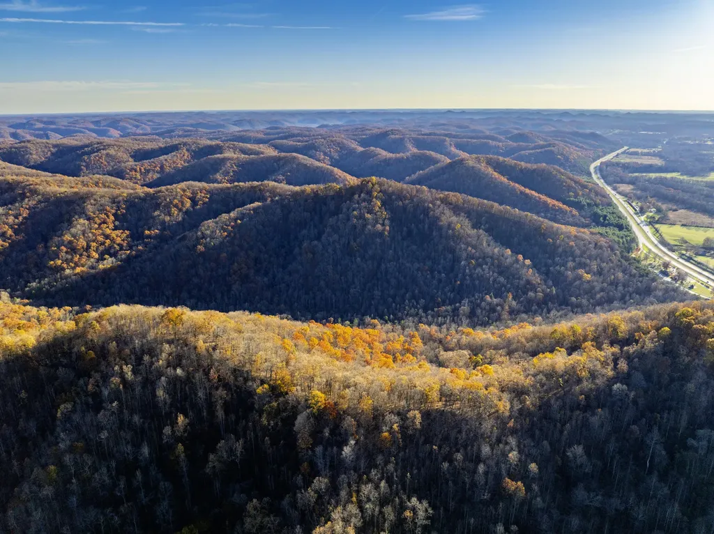 3300 Forestry Ridge Road Morehead KY 40351