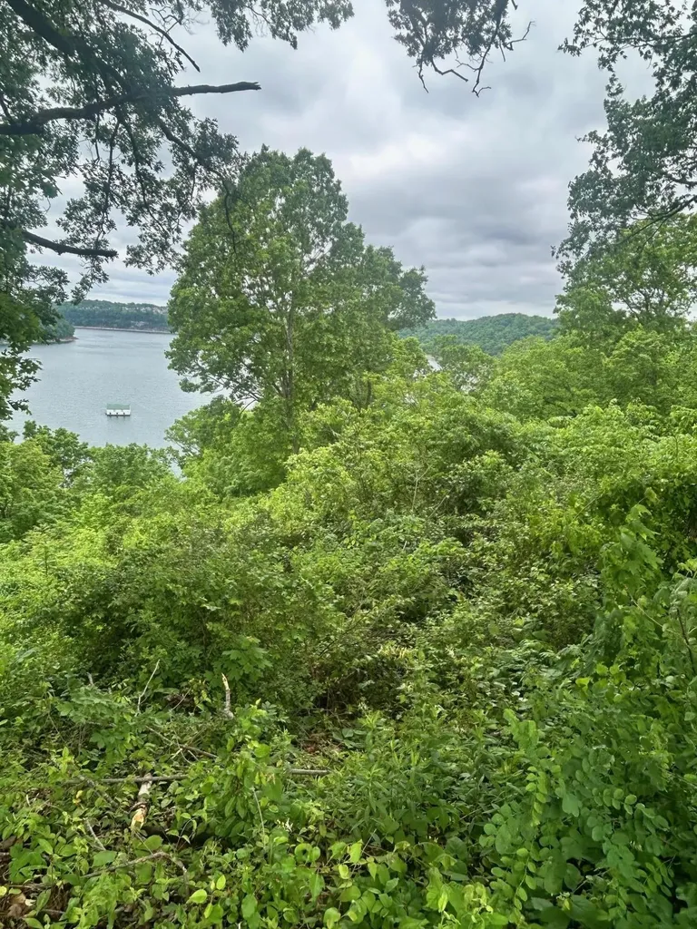 185 Waterworks Drive Somerset KY 42503