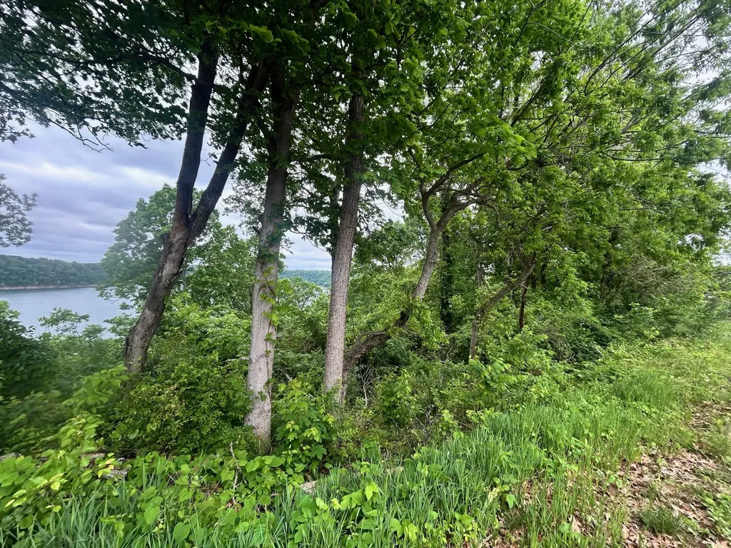 185 Waterworks Drive Somerset KY 42503