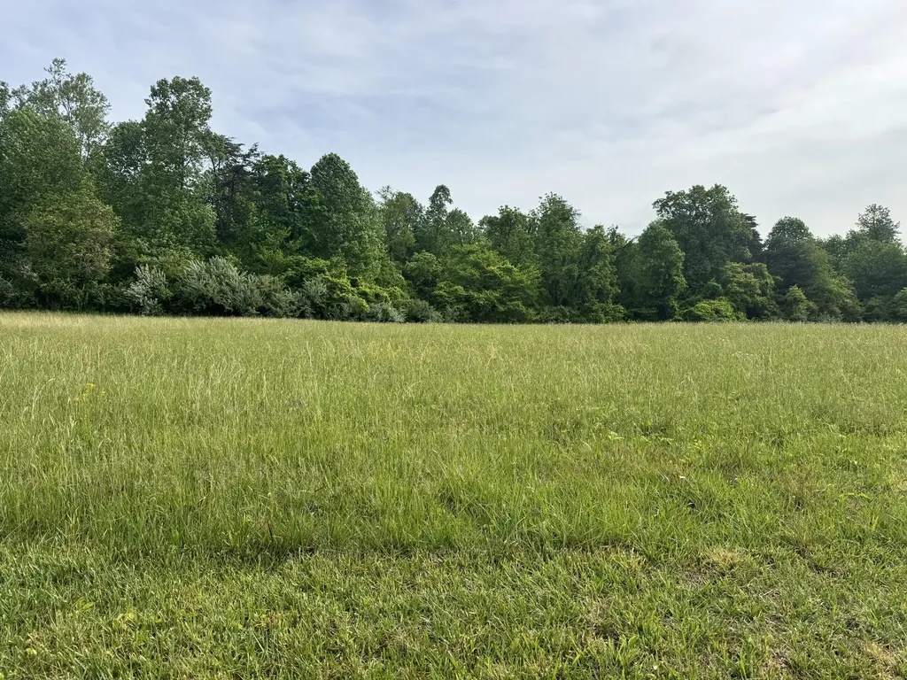 Lot 115 Mooring Drive Jamestown KY 42629