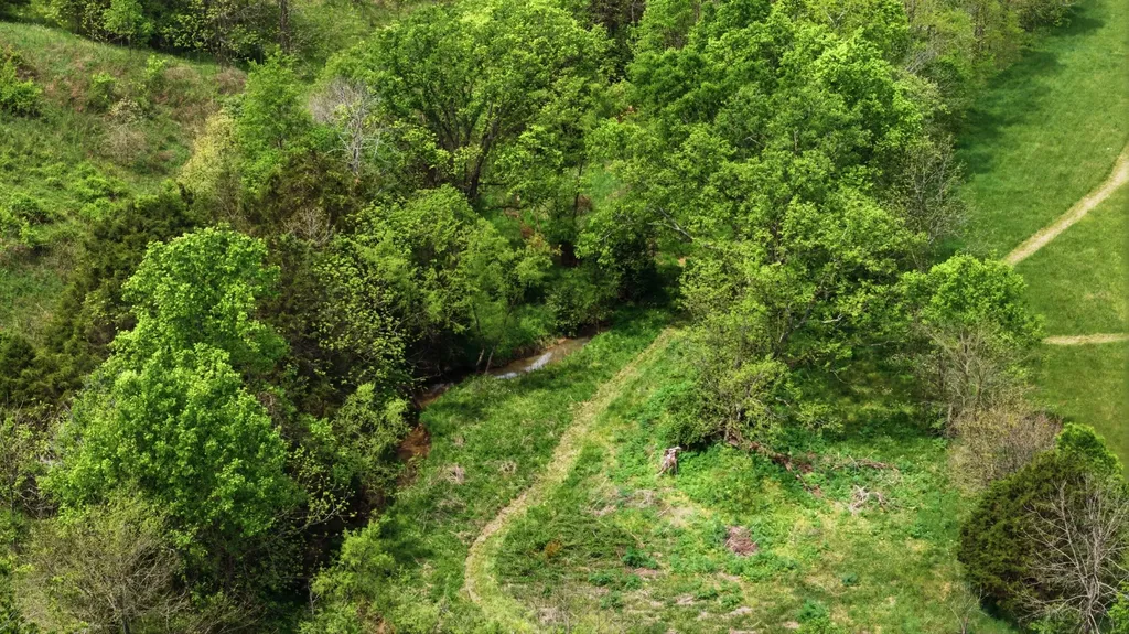 650 Gillispie Road Carlisle KY 40311