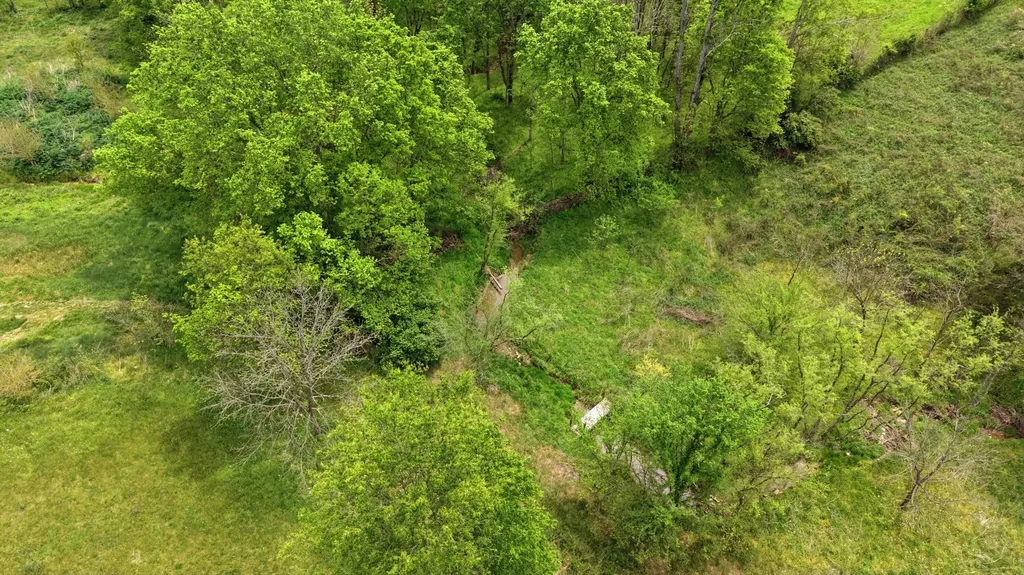 650 Gillispie Road Carlisle KY 40311