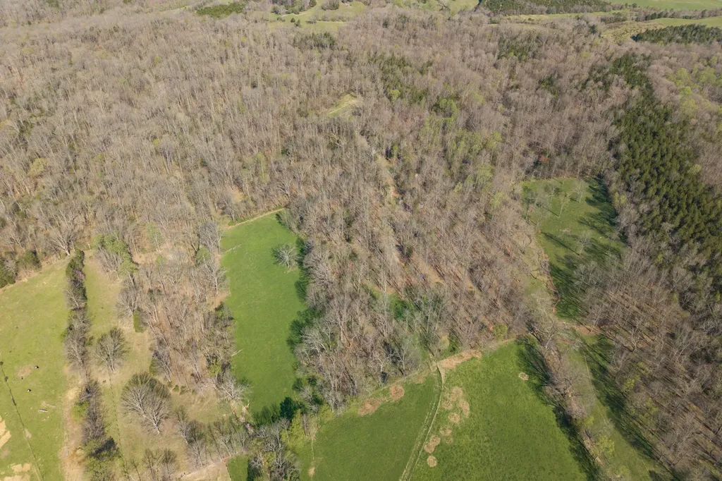 1810 Twin Creek Road Sadieville KY 40370
