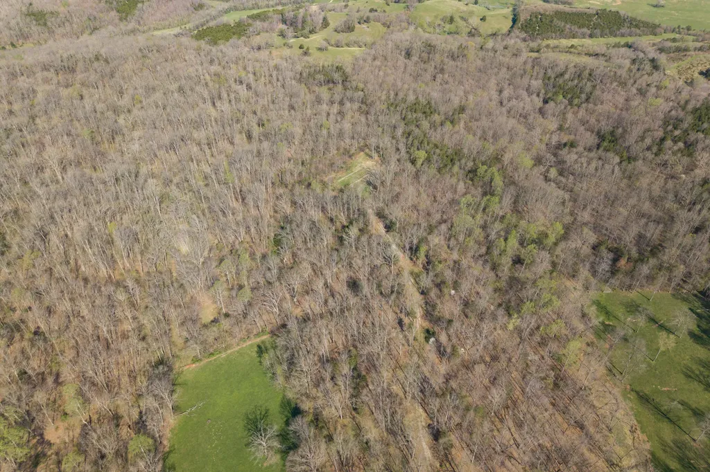 1810 Twin Creek Road Sadieville KY 40370