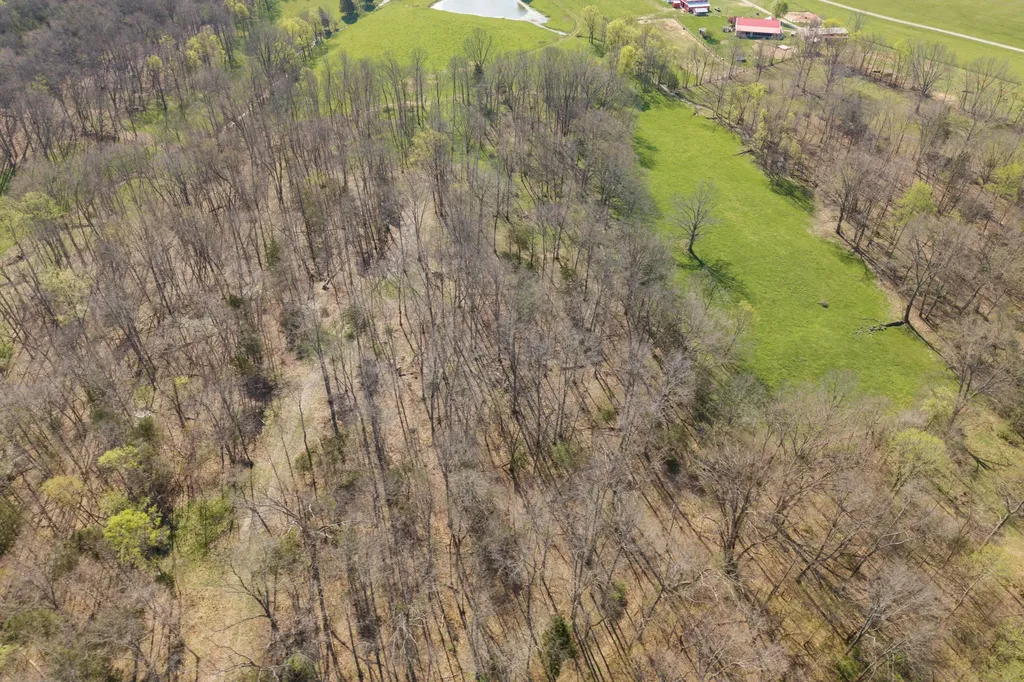 1810 Twin Creek Road Sadieville KY 40370