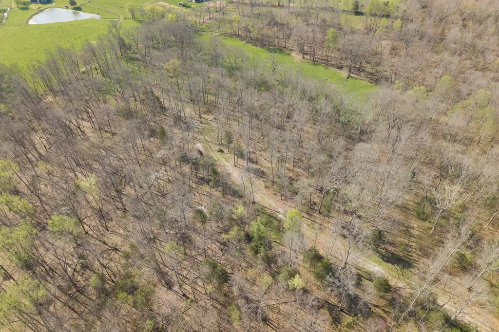 1810 Twin Creek Road Sadieville KY 40370