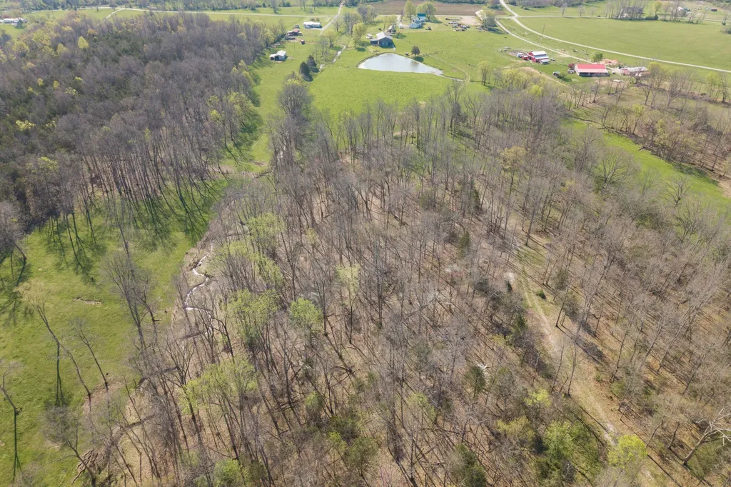 1810 Twin Creek Road Sadieville KY 40370