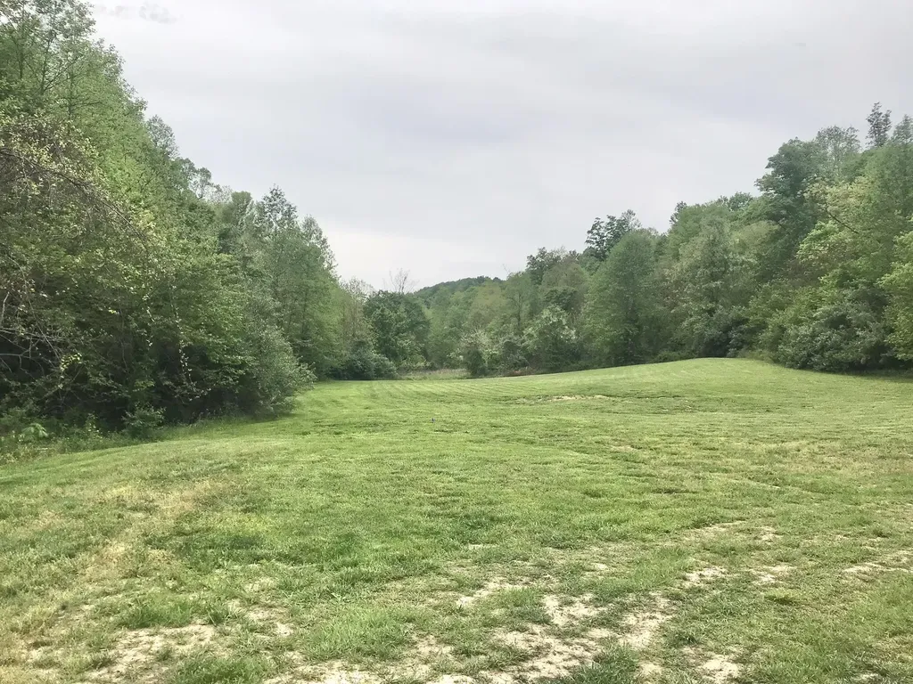 528 Skaggs Drive Martha KY 41159