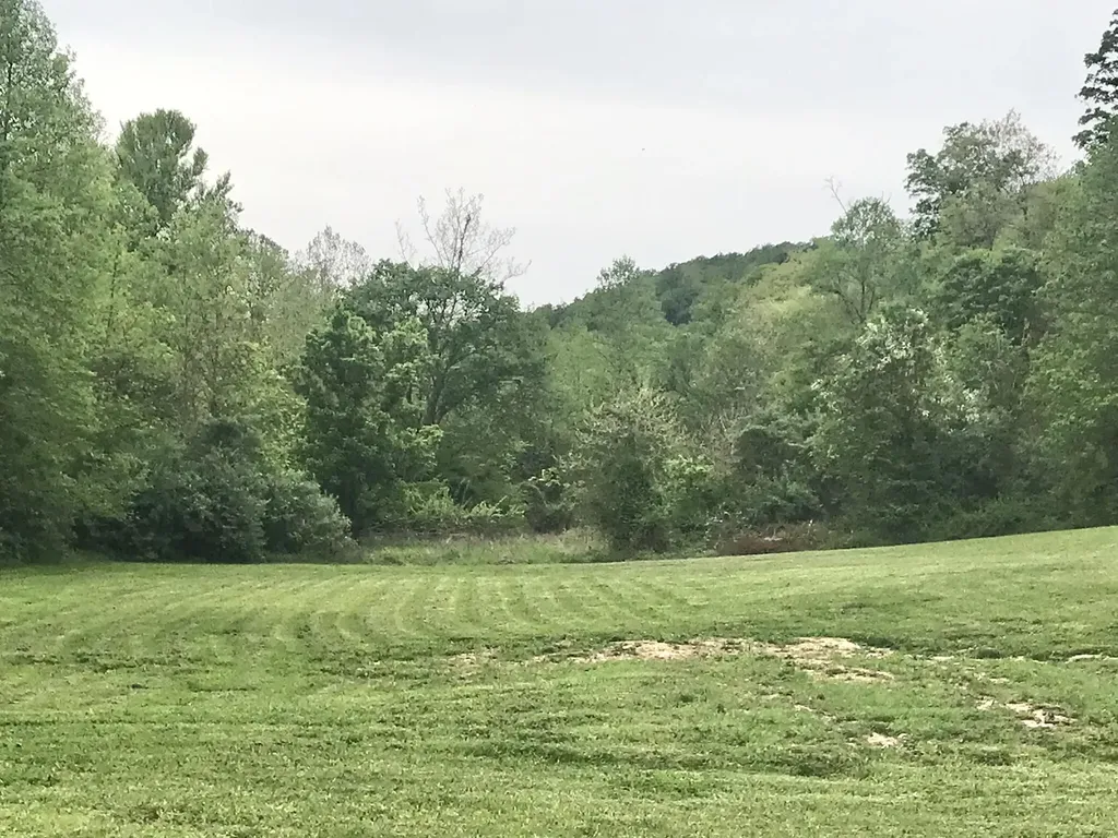 528 Skaggs Drive Martha KY 41159