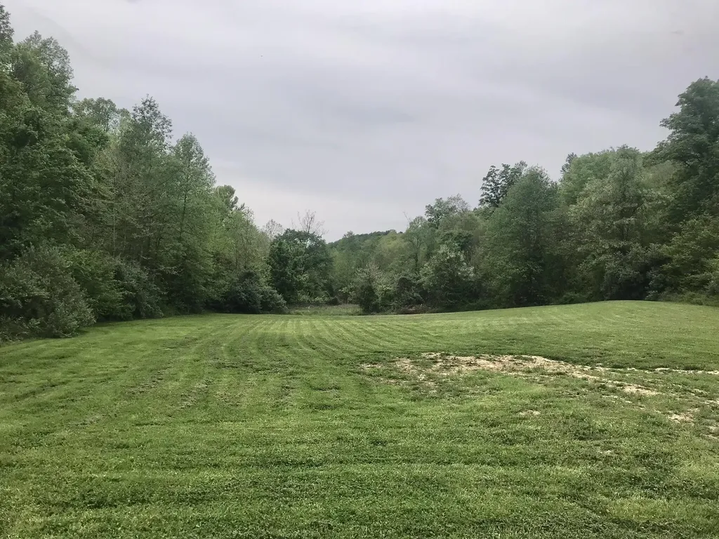 528 Skaggs Drive Martha KY 41159