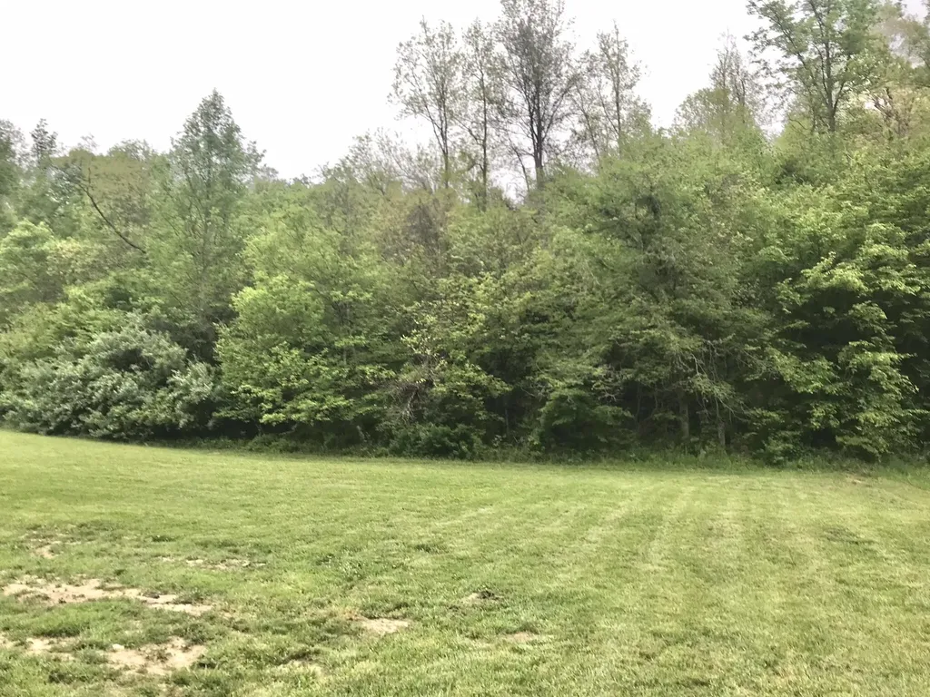 528 Skaggs Drive Martha KY 41159