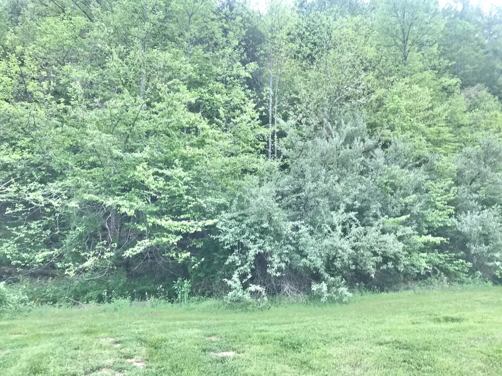 528 Skaggs Drive Martha KY 41159