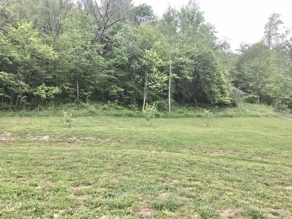 528 Skaggs Drive Martha KY 41159