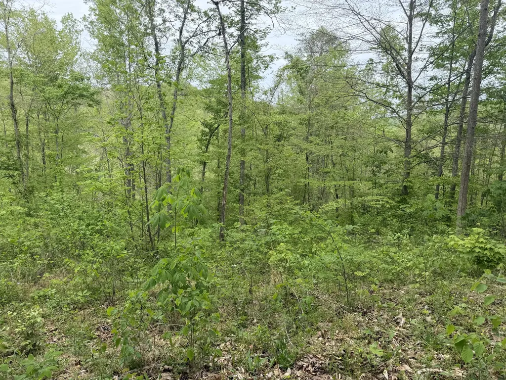 999 Big Cave Road Orlando KY 40460