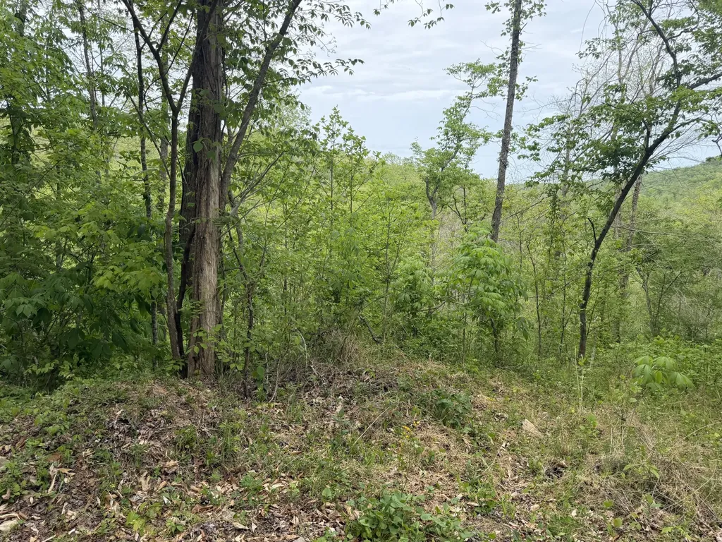 999 Big Cave Road Orlando KY 40460