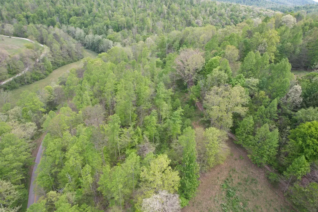 999 Big Cave Road Orlando KY 40460