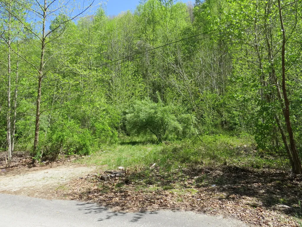 0 Trace Branch Road Flat Lick KY 40935