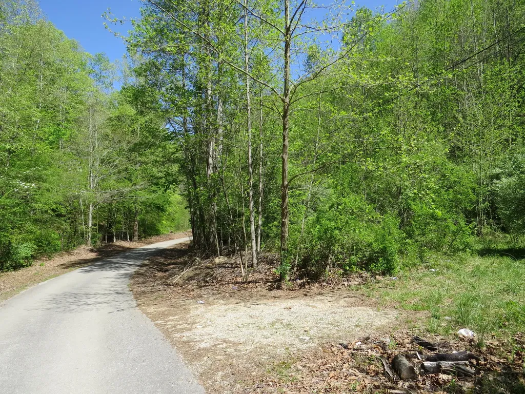 0 Trace Branch Road Flat Lick KY 40935