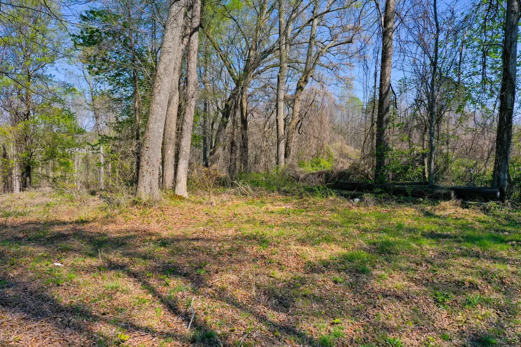 9999 Owen Road Lily KY 40740