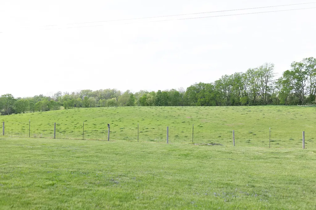 300 E Scotts Ferry Road Versailles KY 40383