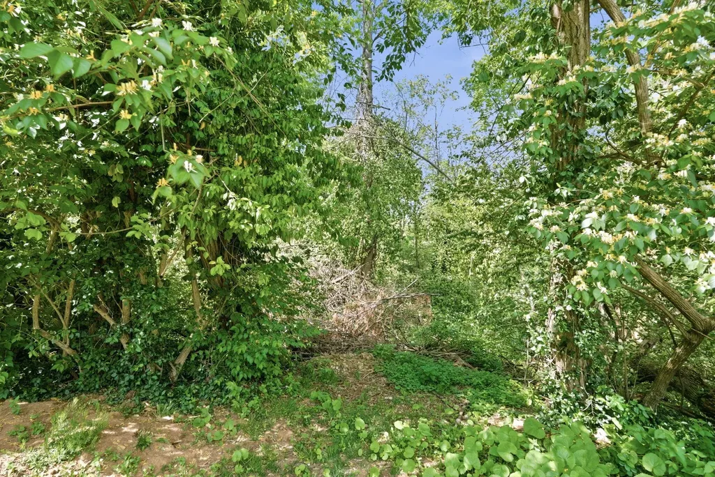 237 Rose Hill Avenue Versailles KY 40383