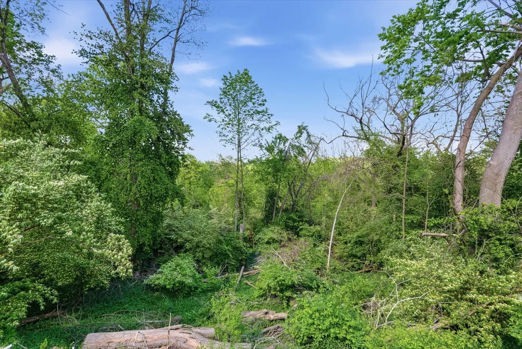 237 Rose Hill Avenue Versailles KY 40383