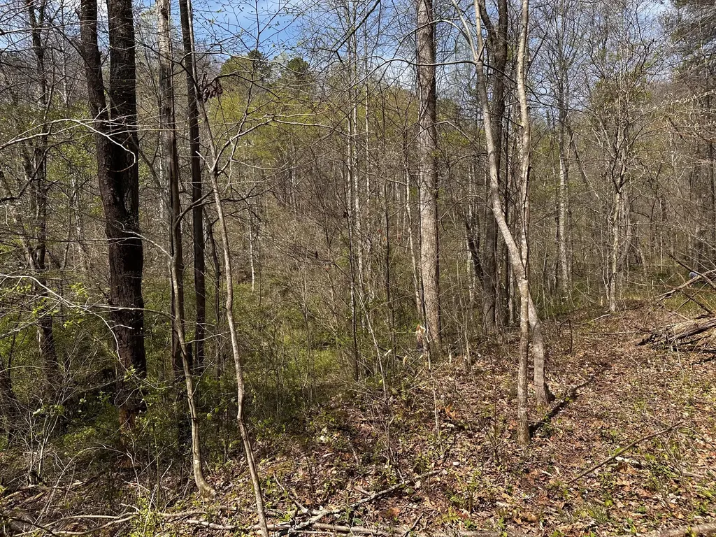 0 Long Branch Road Livingston KY 40445