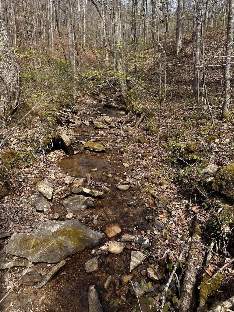 0 Long Branch Road Livingston KY 40445