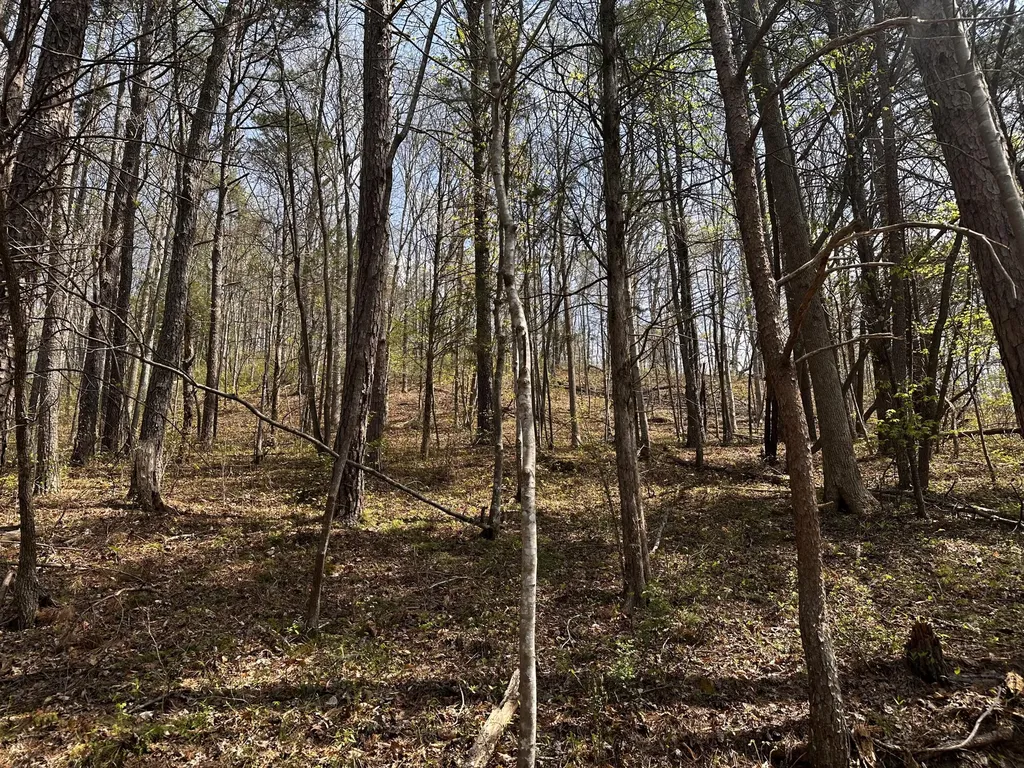 0 Long Branch Road Livingston KY 40445