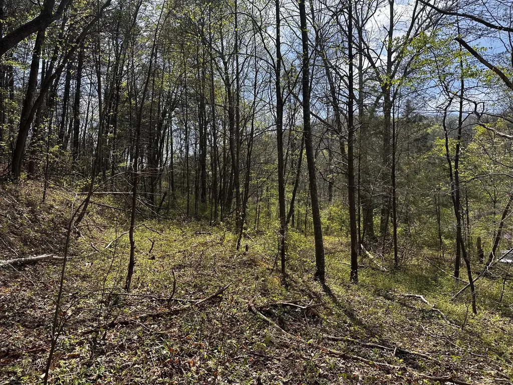 0 Long Branch Road Livingston KY 40445
