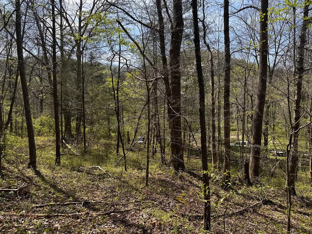 0 Long Branch Road Livingston KY 40445