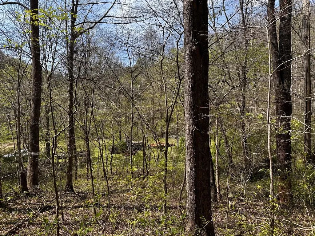 0 Long Branch Road Livingston KY 40445