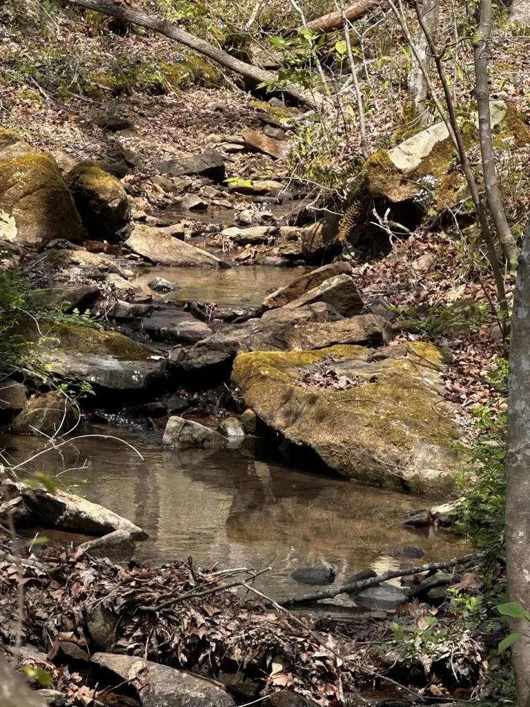 0 Long Branch Road Livingston KY 40445