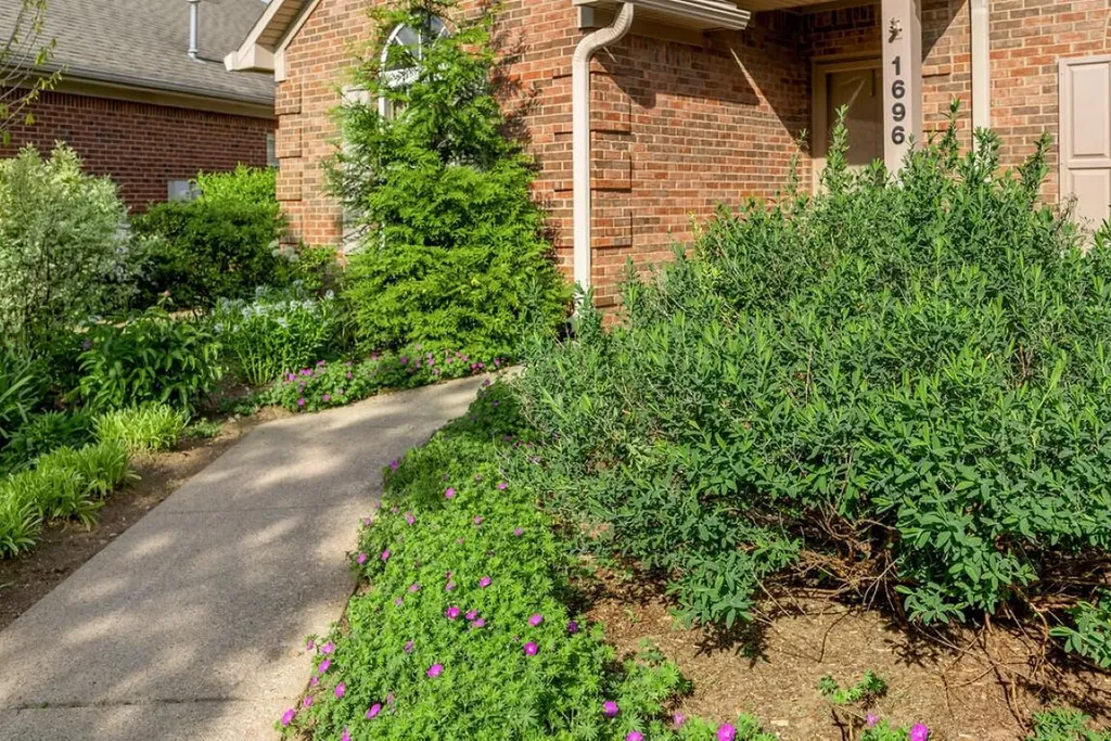 1696 Chandler Lane Lexington KY 40504