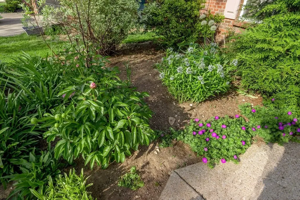 1696 Chandler Lane Lexington KY 40504
