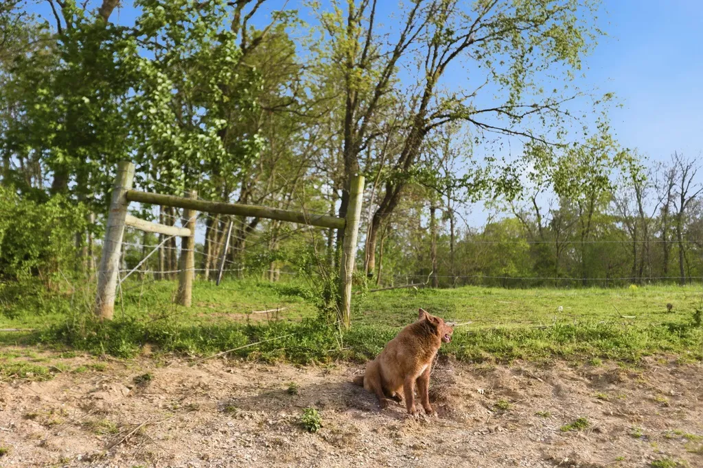 8586 Stulltown Road Owingsville KY 40360