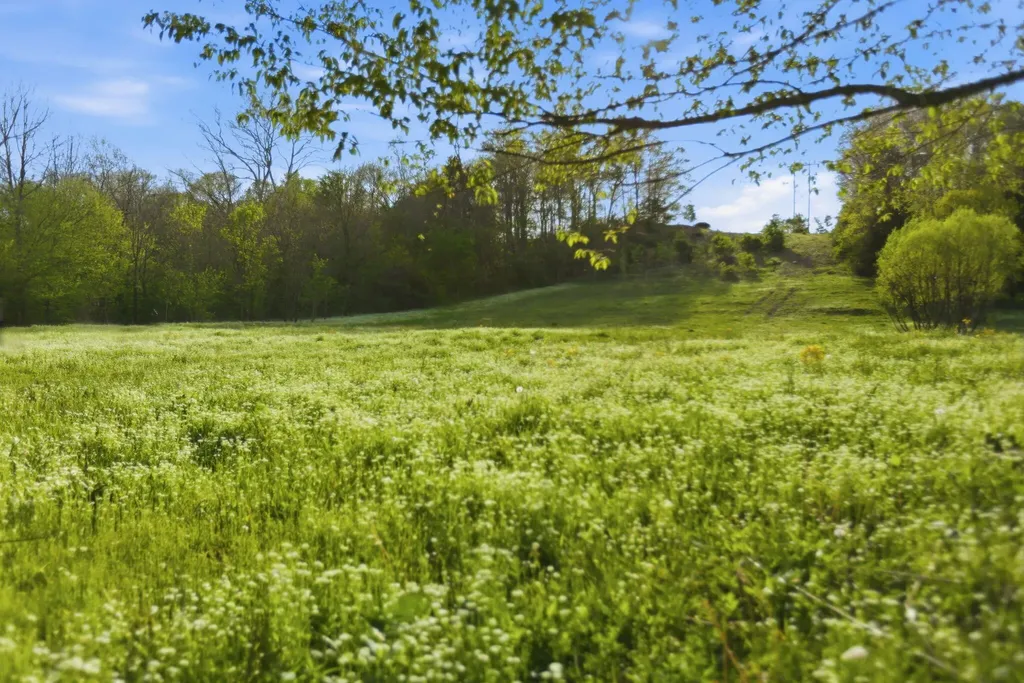 8586 Stulltown Road Owingsville KY 40360