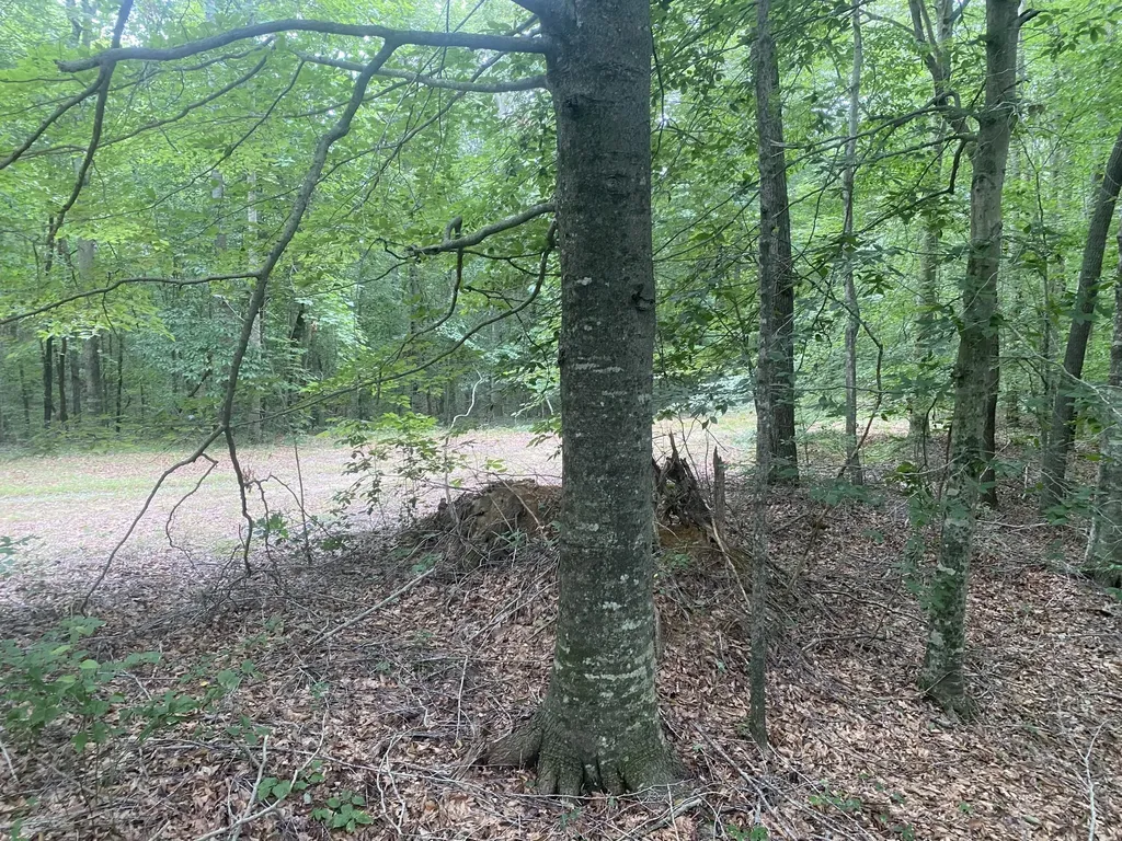 0 Broyles Lane Columbia KY 42728